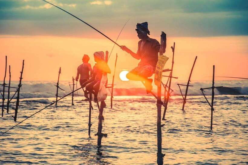 Colombo-Galle Fort, Boat Safari, Turtles, Amazing Group Tour - What $45 buys you on this coastal day