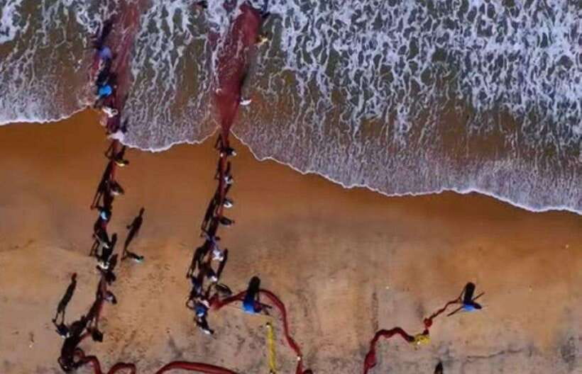 Colombo-Galle Fort, Boat Safari, Turtles, Amazing Group Tour - From Colombo to Bentota, with optional water sports