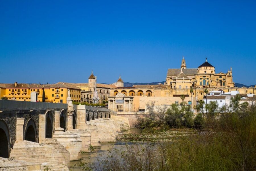 Córdoba: Alcázar and Jewish Quarter 2-Hour Guided Tour - Roman mosaics and the sarcophagus