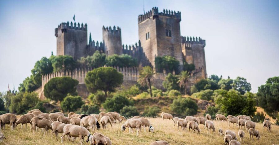 Córdoba: Almódovar Castle Entrance Ticket - Key points to know before you go