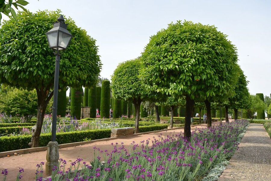 Cordóba: Gardens & Fortress of Catholic Monarchs Guided Tour - Who will enjoy this Córdoba tour?
