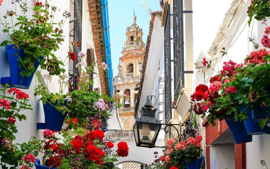 Córdoba: Mosque and Alcazar Private Tour with tickets - The Alcazar of the Christian Kings