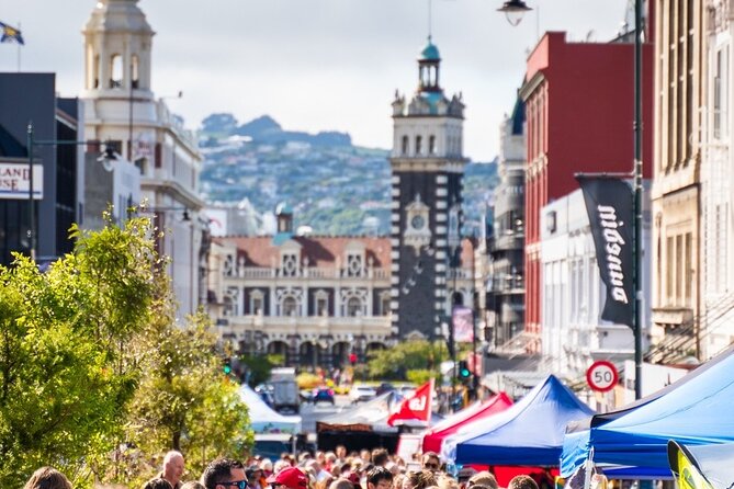 Cruise Dunedin City and Castle Tour - Why this tour works well from a cruise ship