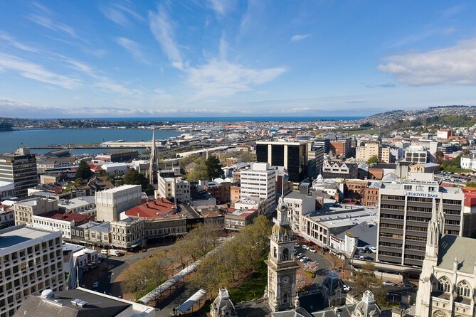 Cruise Dunedin City and Castle Tour - Baldwin Street and the 20-minute challenge