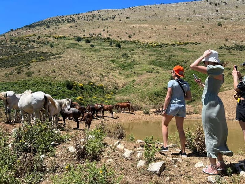 Daily Trip To:Blue Eye,Monastery,Gjirokaster&Lekursi Castle - Four reasons this day trip works