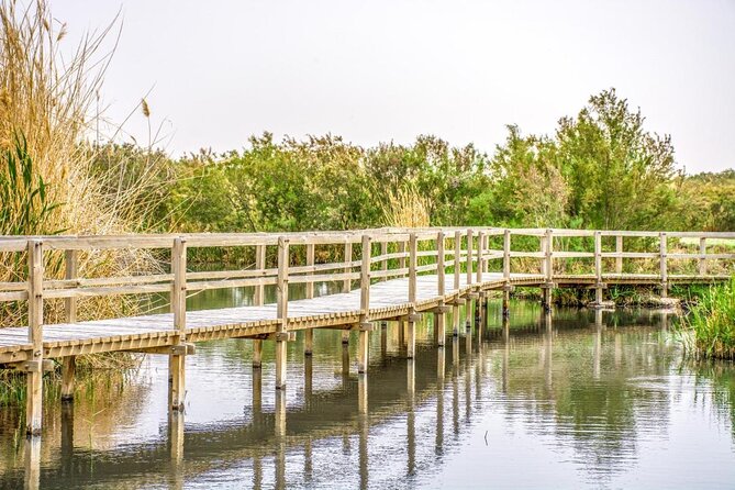 Day Tour Desert Castles & Azraq Wetland Reserve - Key points before you book