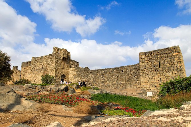 Day Tour Desert Castles & Azraq Wetland Reserve - Timing, comfort, and group fit