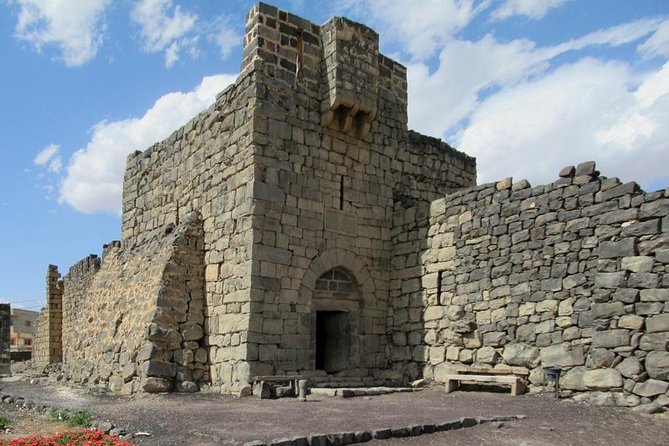 Day Tour Desert Castles & Azraq Wetland Reserve - Quseir Amra and the art inside