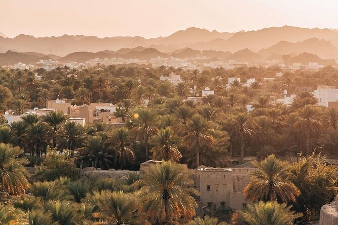 Day Tour to the Enchanting Forts of Nizwa - Is the $218.52 price fair?