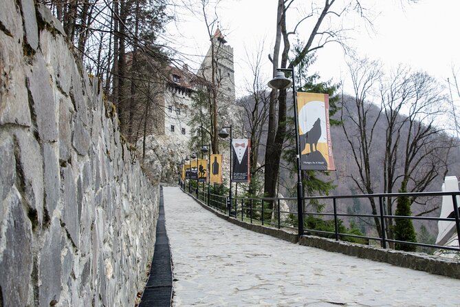 Day Trip Bear Sanctuary, Bran Castle, Rasnov Fortress from Brasov - Libearty Bear Sanctuary: the day’s most distinctive stop