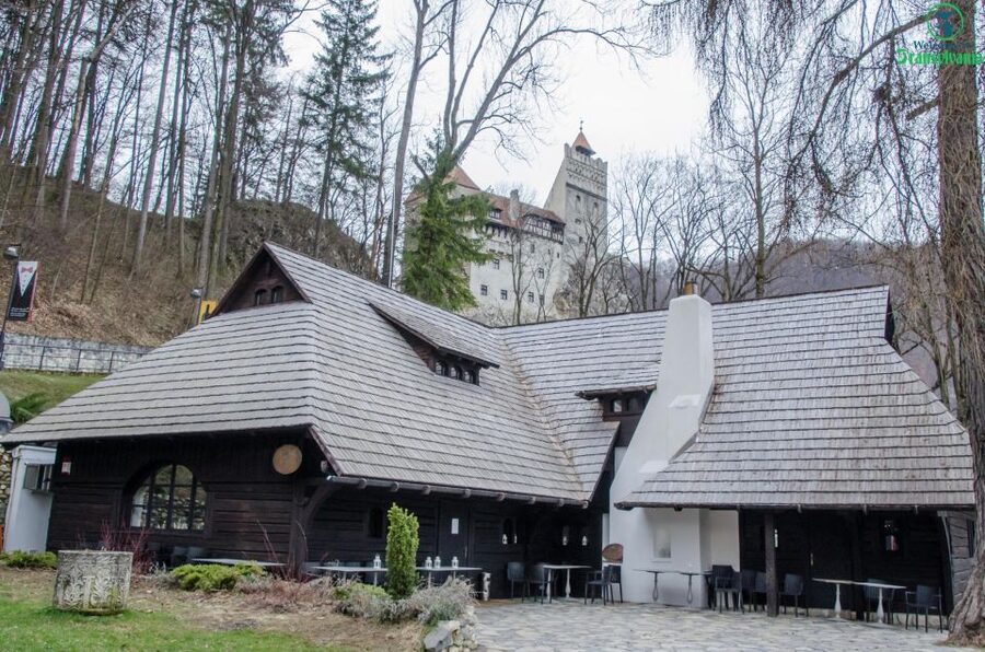 Day trip Bran Castle, Rasnov Fortress and Bear Sanctuary - FAQ