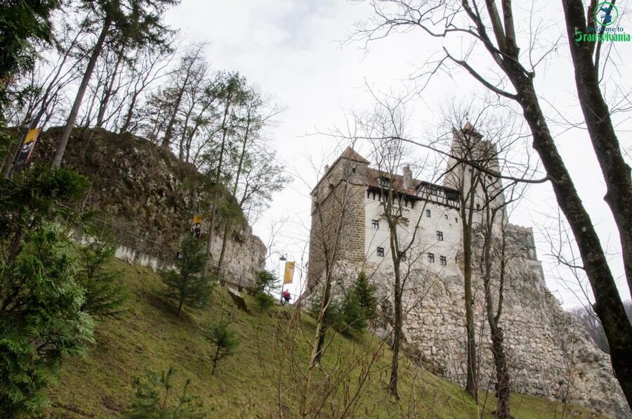 Day trip Bran Castle, Rasnov Fortress and Bear Sanctuary - Bran Castle, the Transylvania icon