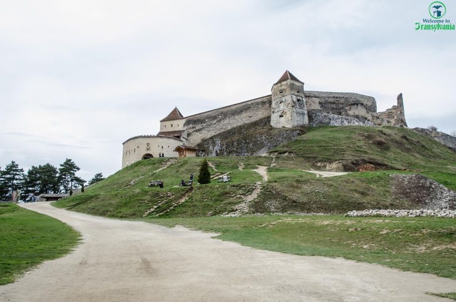 Day trip Bran Castle, Rasnov Fortress and Bear Sanctuary - What the $49 price really covers