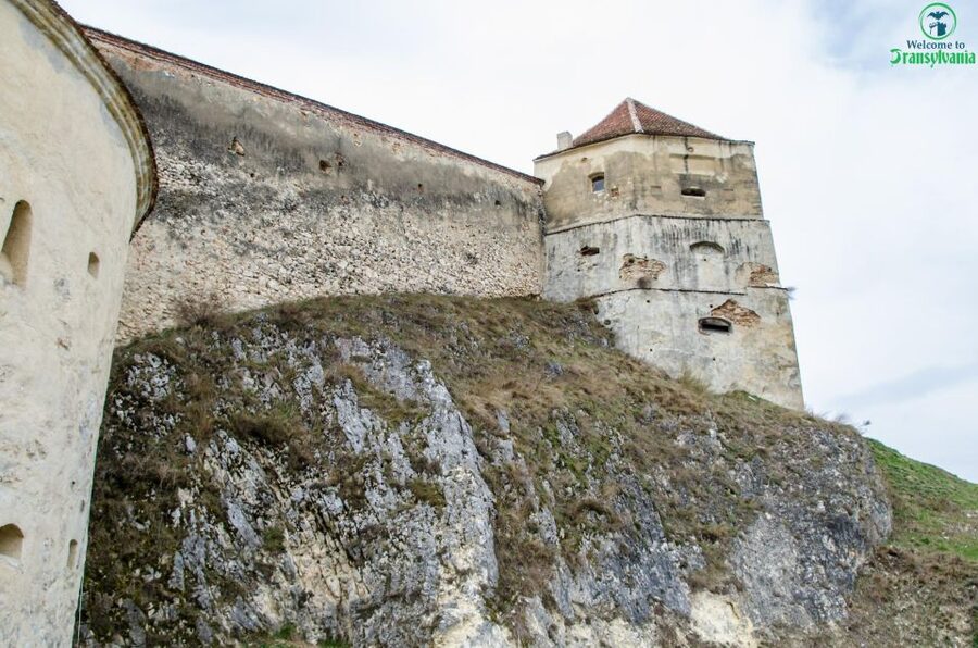 Day trip Bran Castle, Rasnov Fortress and Bear Sanctuary - Who should book this Brasov day trip?