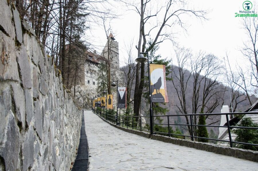 Day trip Bran Castle, Rasnov Fortress and Bear Sanctuary - The 45-minute ride from Brasov