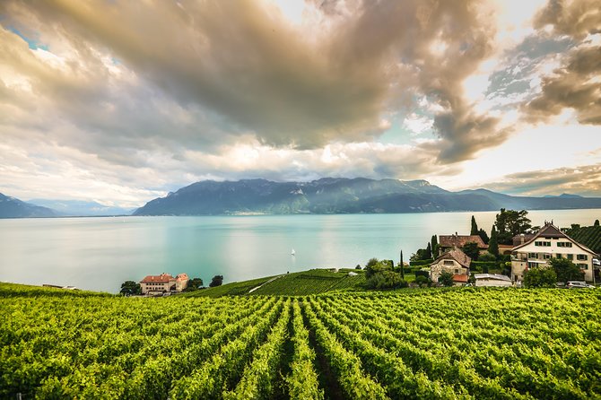 Day Trip to Montreux, Chaplin's World & Chillon Castle& apéritif - A full day across the Swiss Riviera