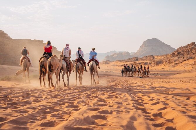 Day Trip to Petra, Wadi Rum, and Shobak Castle - Why this private Jordan day trip makes sense