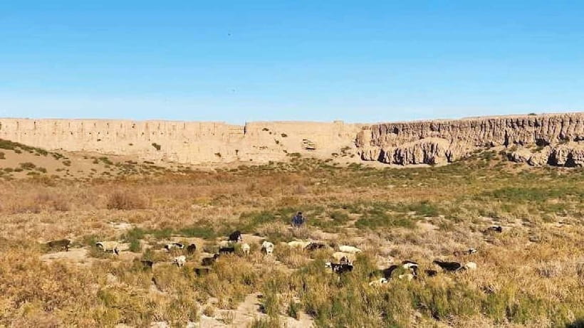 Daytrip from Khiva to Five Ancient Fortresses - Tickets, timing, and the real cost