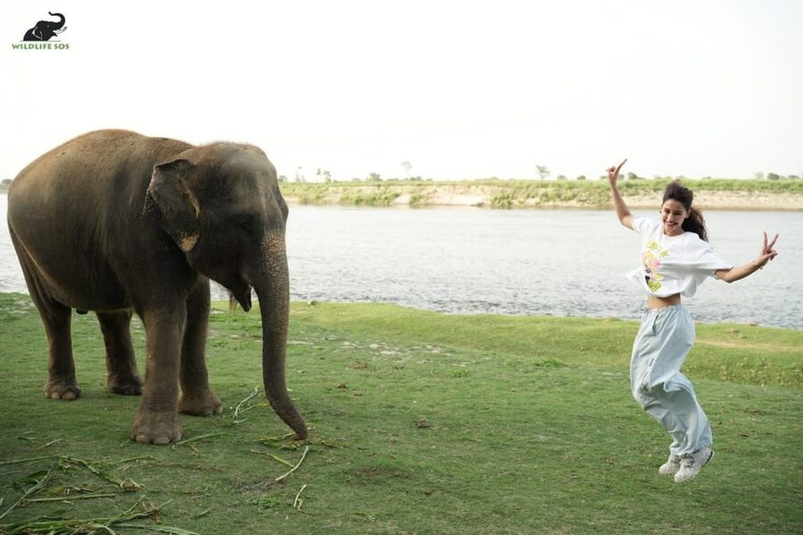 Delhi: All-Inclusive Day trip Taj Mahal with Elephant SOS - Returning to Delhi after a full day