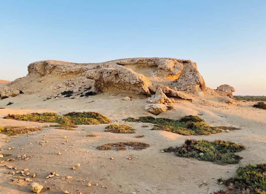 Doha: Al Zubara Fort, Al Jumail & Al Thakira Tour - Al Jumail, an abandoned village with a different mood