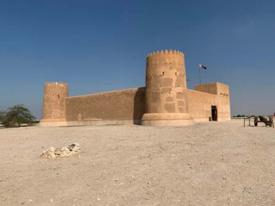 Doha: North Qatar Tour, Mangroves, & Zubara Fort and purple