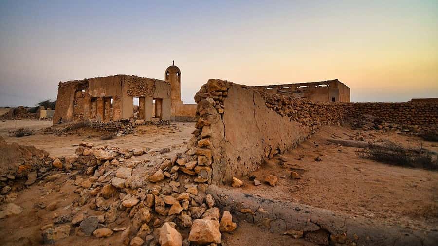 Doha: North Qatar Tour, Mangroves, & Zubara Fort and purple - Al Thakira Mangroves: Birds, Water, and a Quieter Qatar