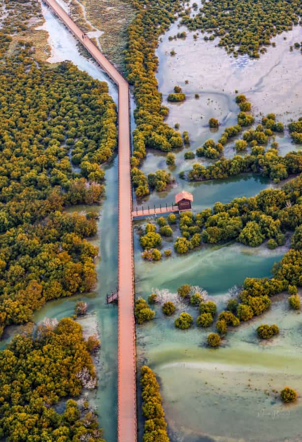 Doha North Qatar Tour Zubara Fort, Mangroves, Jumail Village - Key points to know before you book