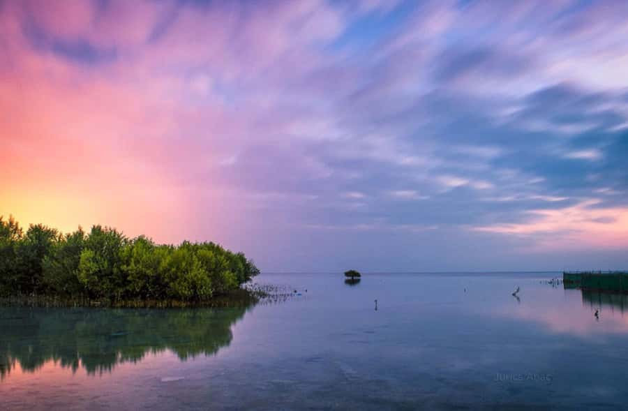 Doha North Qatar Tour Zubara Fort, Mangroves, Jumail Village - Al Thakira mangroves in a short coastal stop