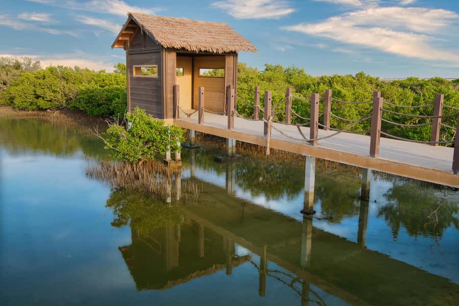Doha North Qatar Tour Zubara Fort, Mangroves, Jumail Village - Al Khor harbor and the working coast