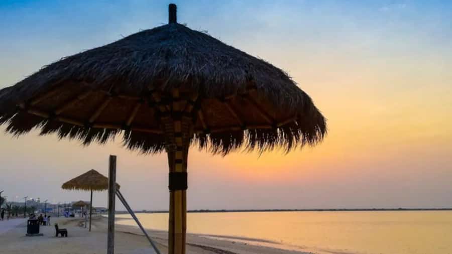 Doha: Private North Qatar Tour, Mangroves, & Zubara Fort - Key points at a glance