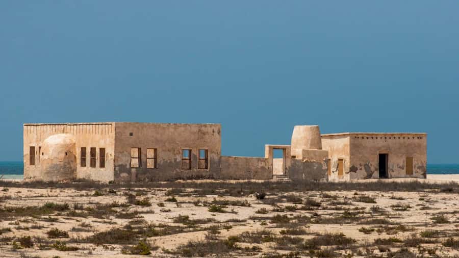 Doha: Private North Qatar Tour, Mangroves, & Zubara Fort - Purple Island and the mangrove country