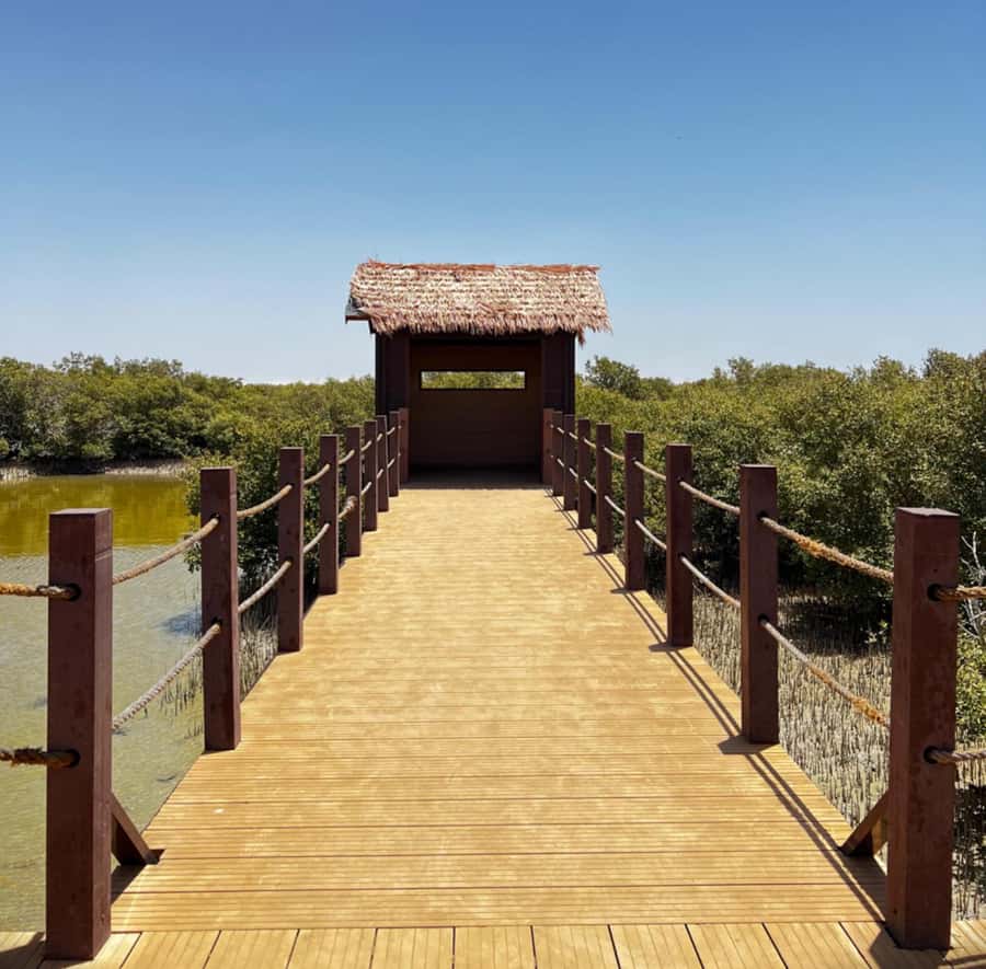 Doha: Zubara UNESCO Site, Mangroves & Jumail Village - Al Zubara Fort and Qatar’s pearling past