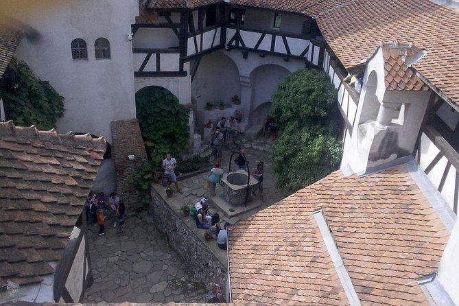 Dracula and Peles Castles Premium Tour with Hotel pick-up - The guide can make or break a very long day
