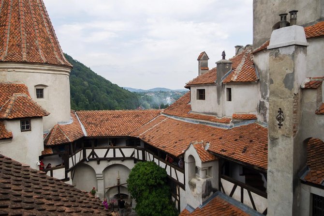 Dracula and Peles Castles Premium Tour with Hotel pick-up - Lunch, Brasov, and what is not included