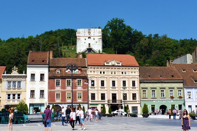 Dracula Castle, Peles and Transylvania, Premium Private Tour - What the private vehicle and guide add
