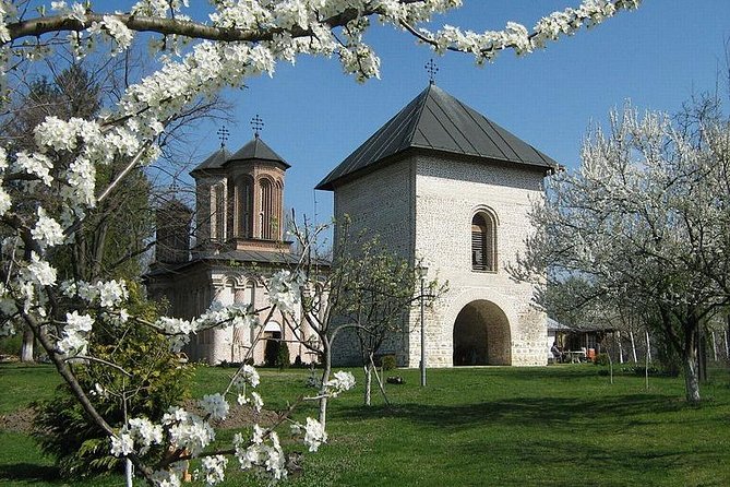 Dracula's Tomb and Mogosoaia Palace, Private Tour from Bucharest - Price, included tickets, and overall value