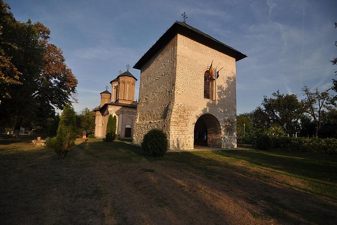 Dracula's Tomb and Mogosoaia Palace, Private Tour from Bucharest - Who should book this Bucharest outing?
