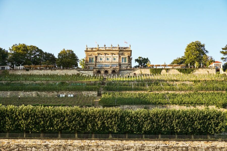 Dresden: Elbe River Cruise to Pillnitz Castle - Booking advice and final verdict