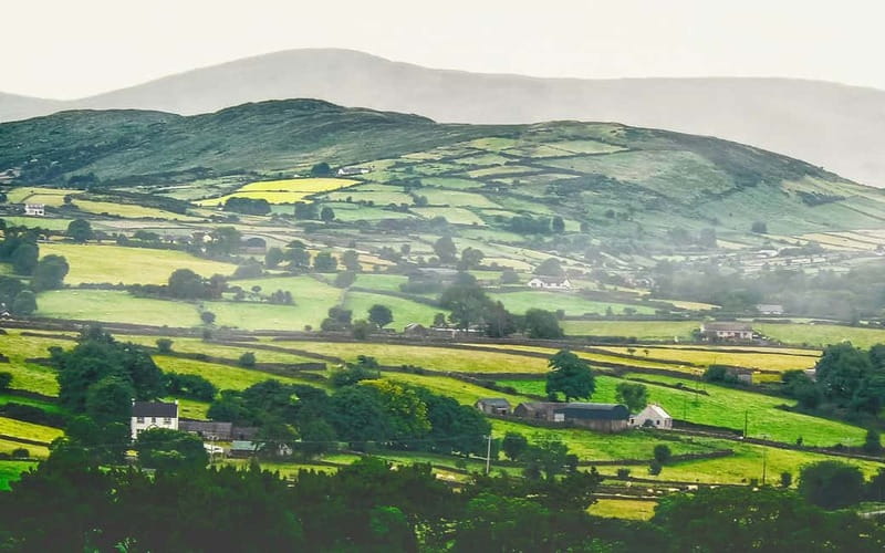 Dublin: Cliffs of Moher, Bunratty Castle and Ennis Day Trip - Is $56 Good Value?