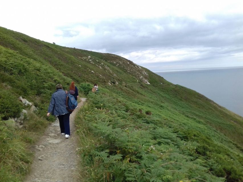 Dublin: Full-Day Howth and Malahide Castle Tour - Lunch and seals at Howth Harbour