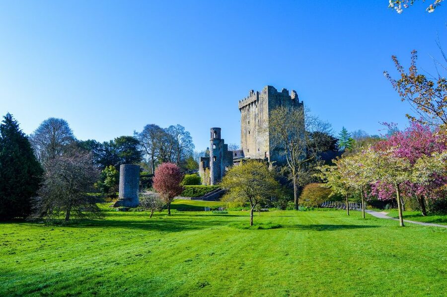 Dublin: Full-Day Tour to Cork, Cobh and Blarney Castle - FAQ