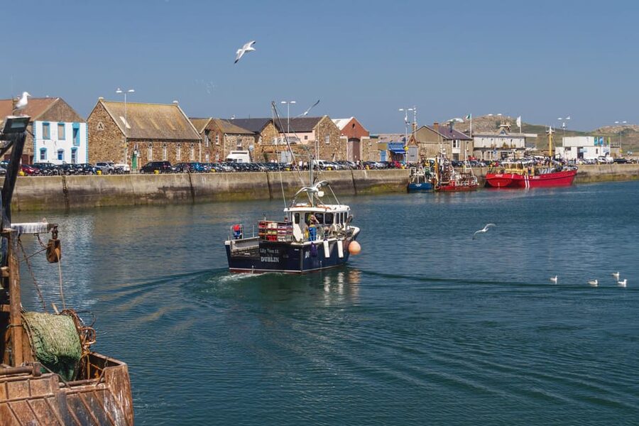 DUBLIN: Malahide castle and Howth MULTILINGUAL full day tour - Who will enjoy this coastal day trip?
