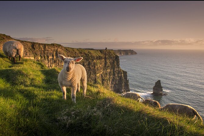 Dublin to Cliffs of Moher, Ennis Town & Bunratty Castle Day Tour - Value, timing, and the cancellation rule