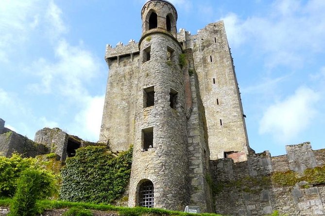 Dublin to Cork, Blarney Castle & Cóbh Heritage Centre by train - Why the train makes this Dublin day trip worthwhile