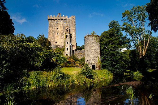 Dublin to Cork, Blarney Castle & Cóbh Heritage Centre by train - Blarney Castle, gardens, and the climb to the stone