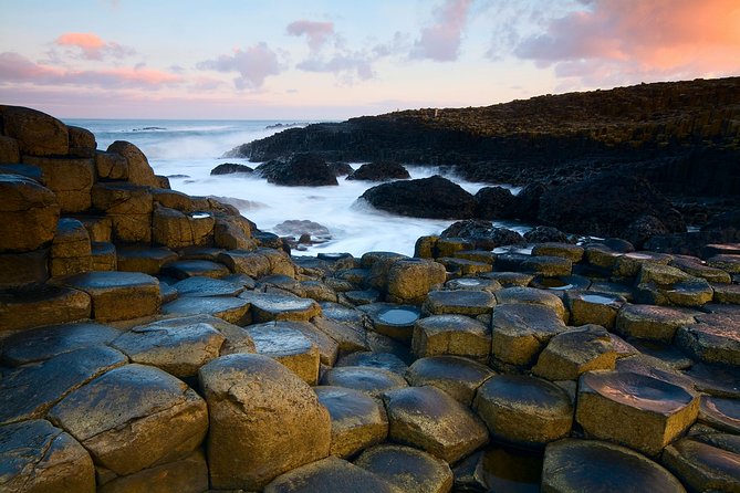 Dublin to Dunluce Castle, Giant's Causeway, Dark Hedges & Belfast - The short stop at the Dark Hedges