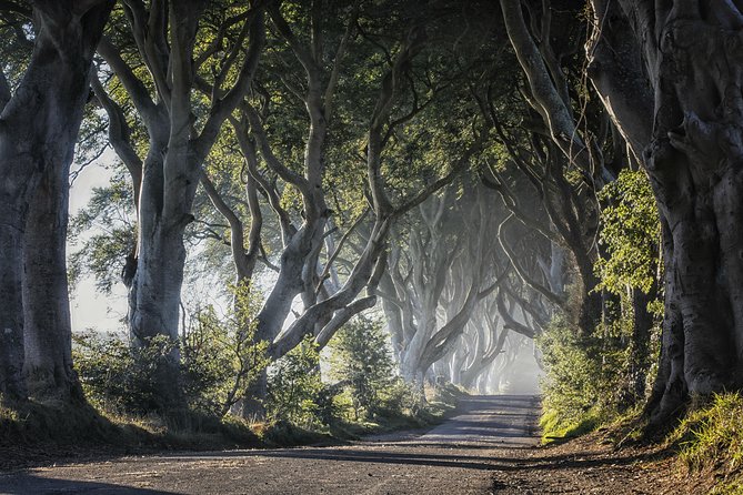 Dublin to Dunluce Castle, Giant's Causeway, Dark Hedges & Belfast - Who should book this day trip?
