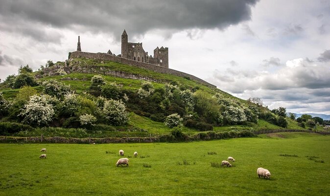 Dublin to Rock of Cashel, Cork City & Blarney Castle Guided Tour - Key points to know before booking