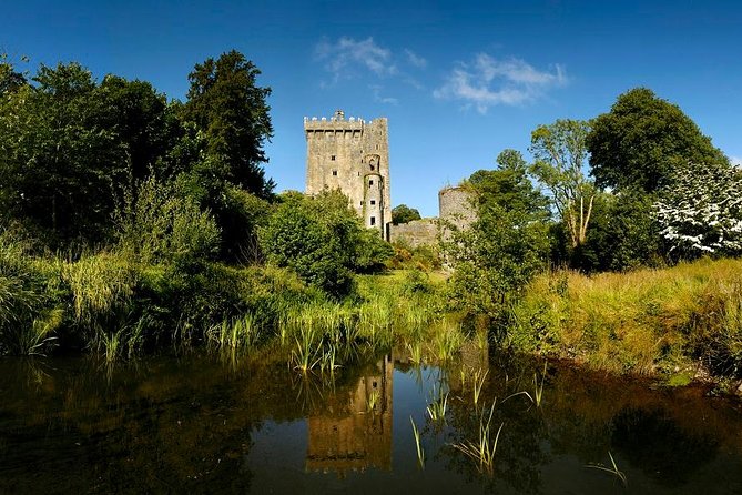 Dublin to Rock of Cashel, Cork City & Blarney Castle Guided Tour - Comfort, timing, and the long ride home
