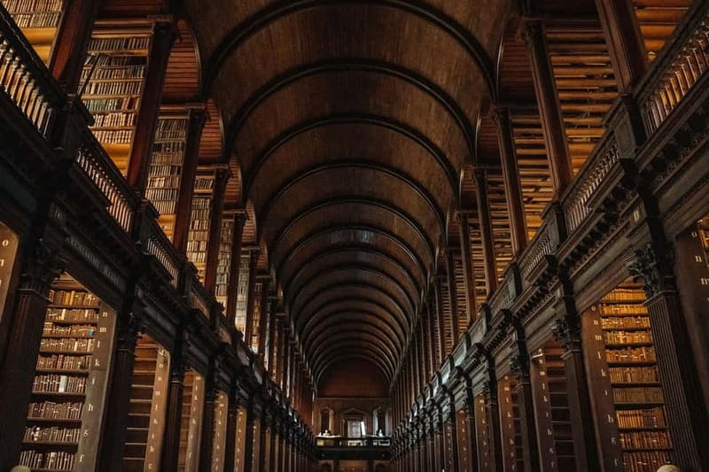 Dublin: Trinity College, Castle, Guinness and Whiskey Tour - Who should book this Dublin day tour?